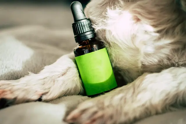 Les bienfaits des fleurs CBD pur pour le bien-être mental