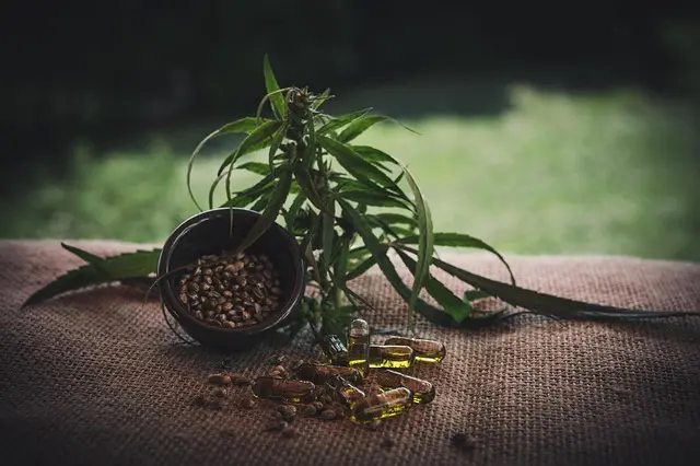 Les meilleures façons d'utiliser les fleurs CBD pur au quotidien