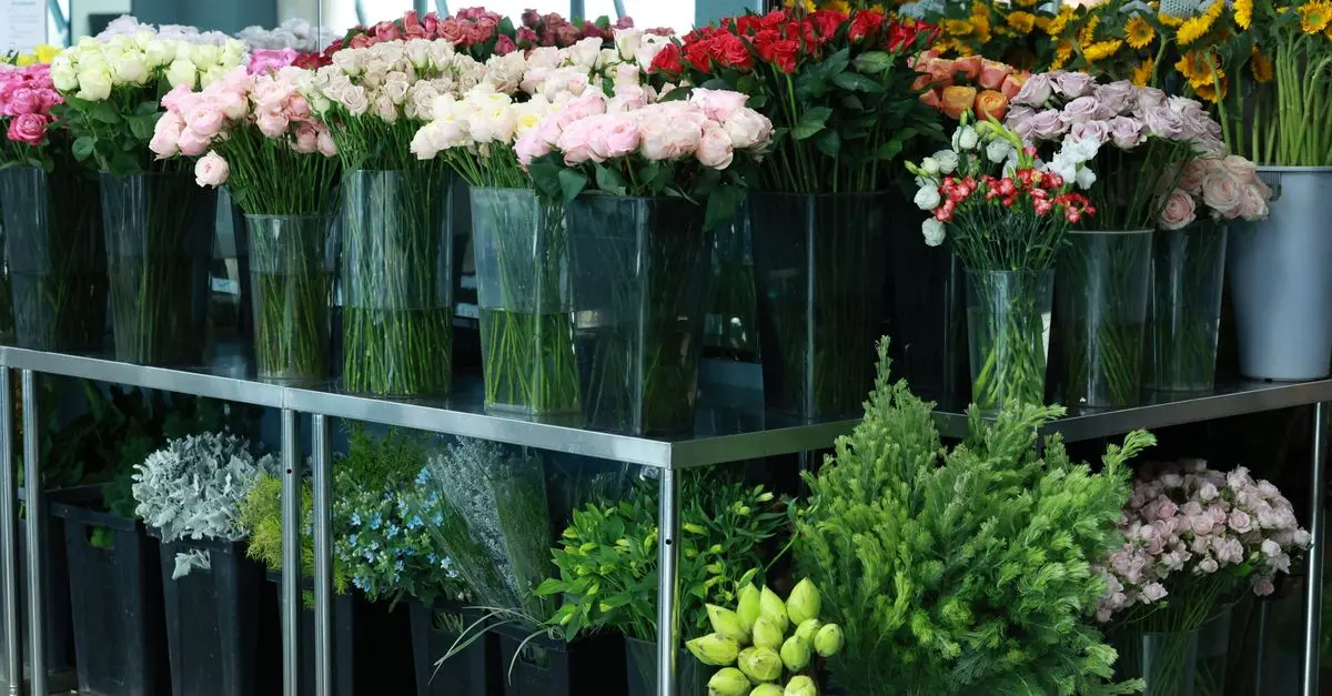 Fleurs CBD Pur : L'impact des variétés sur le bien-être