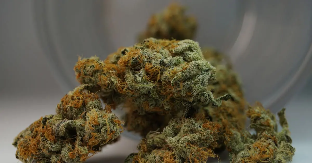 Les bienfaits des fleurs CBD pur sur le bien-être mental