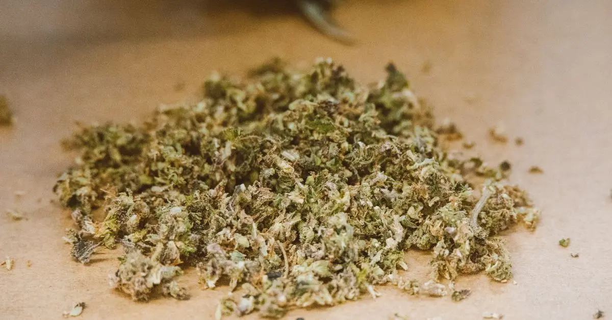 Tout savoir sur les effets des fleurs CBD pur sur votre santé