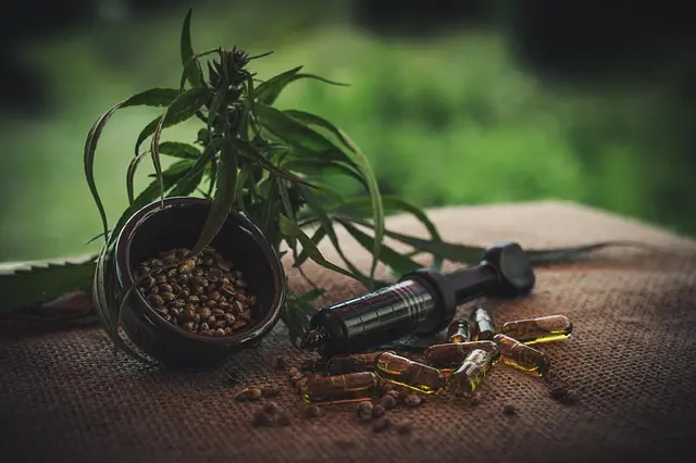 Les meilleures conseils pour choisir vos fleurs CBD pur