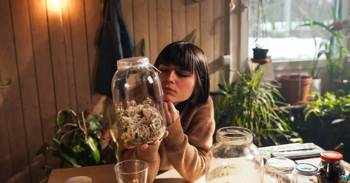 Les meilleures pratiques pour stocker vos fleurs CBD pur