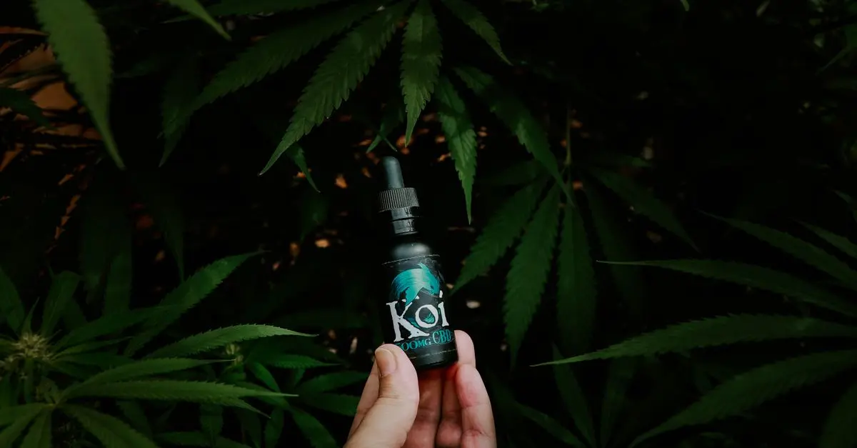 Les secrets des fleurs CBD pur : ce qu'il faut savoir