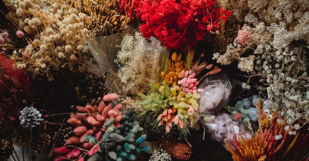 Top 5 des fleurs CBD pur préférées des consommateurs