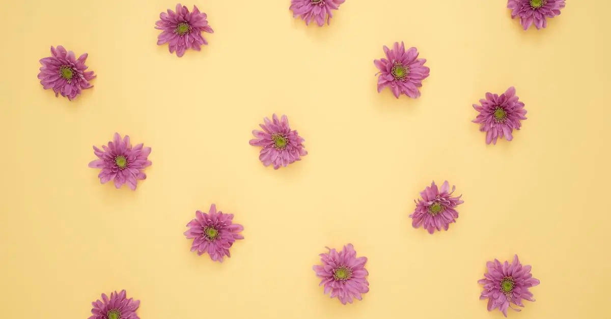 La légalité des fleurs CBD pur en Europe