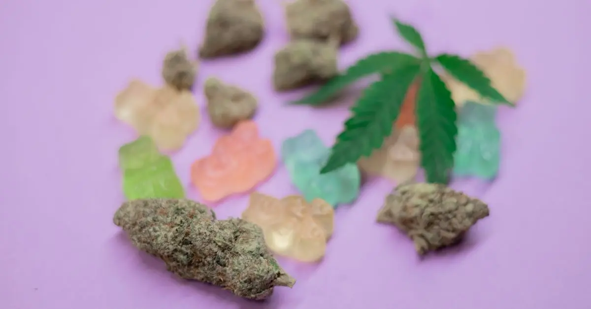 Comment choisir la fleur CBD pur parfaite pour vos besoins