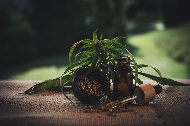 Les différents effets des fleurs CBD pur sur l'humeur
