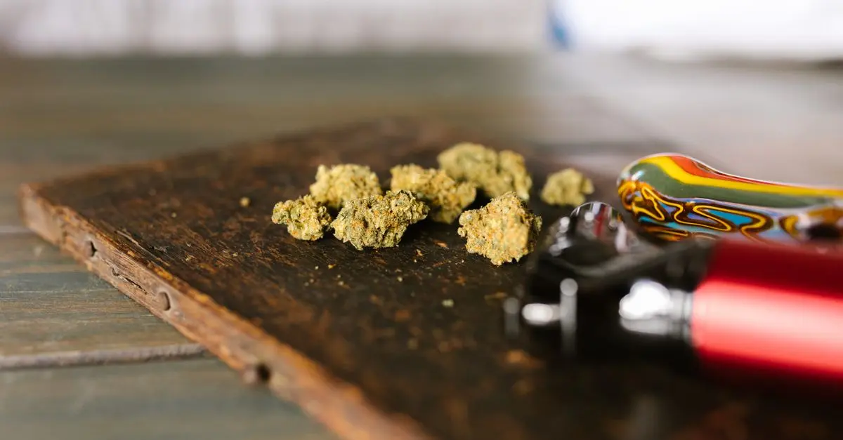 Fleurs CBD Pur : Quels critères de qualité considérer ?