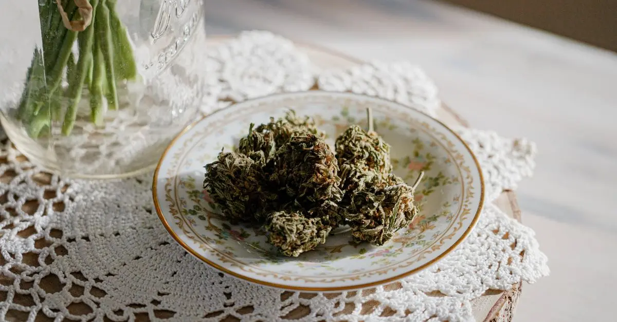 Comment préserver la qualité de vos fleurs CBD pur : guide pratique