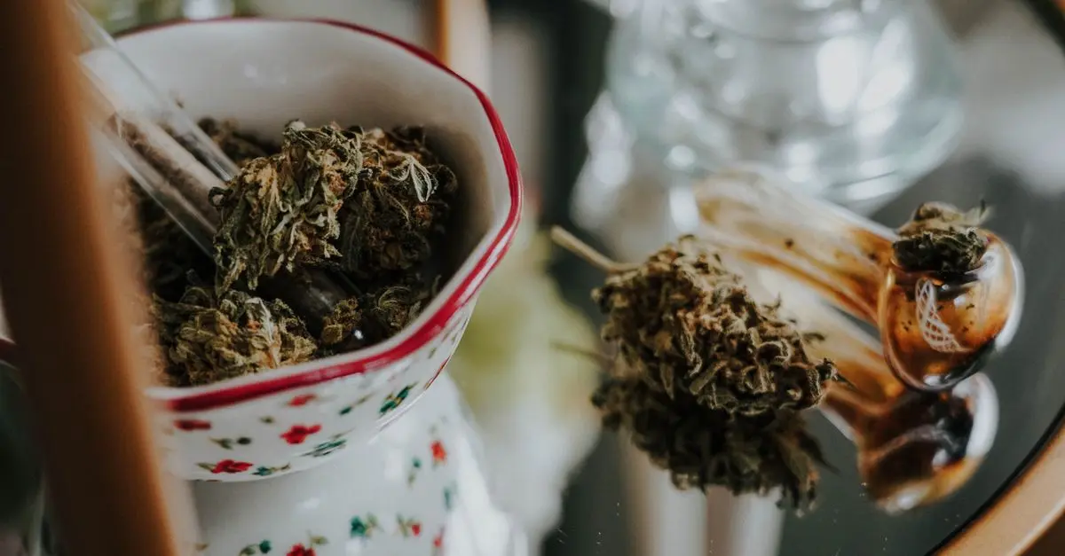 Les principaux bienfaits des fleurs CBD pur pour le bien-être