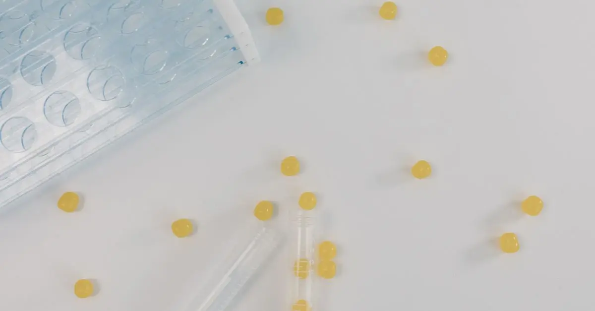 Les interactions possibles entre fleurs CBD pur et médicaments