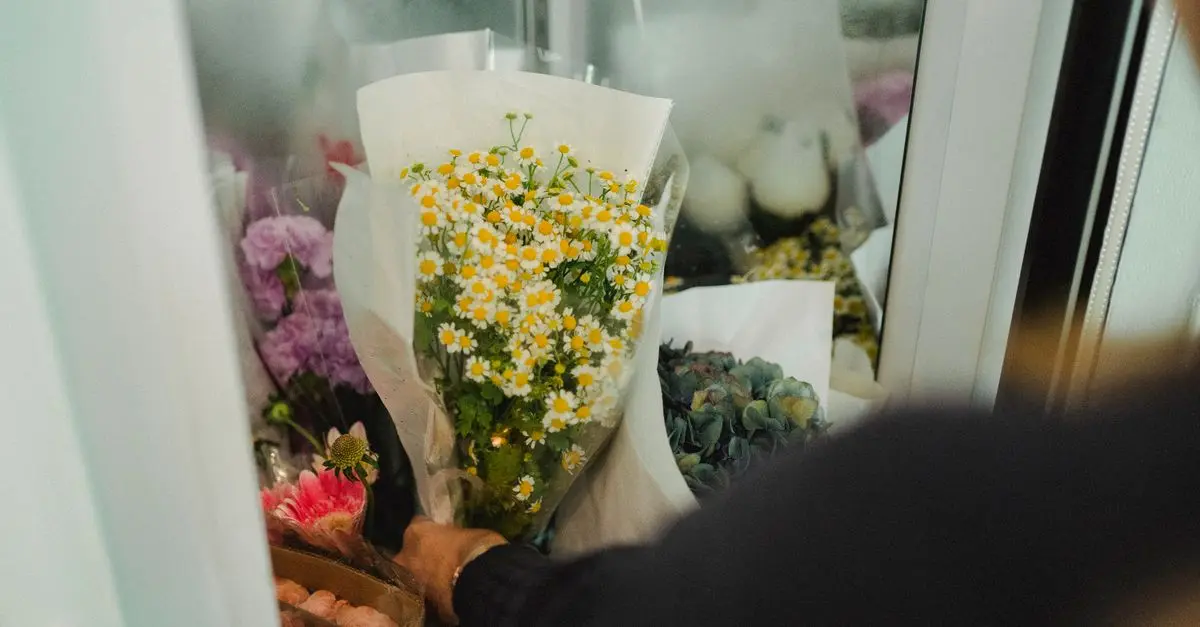 Les astuces pour prolonger la conservation des fleurs CBD pur