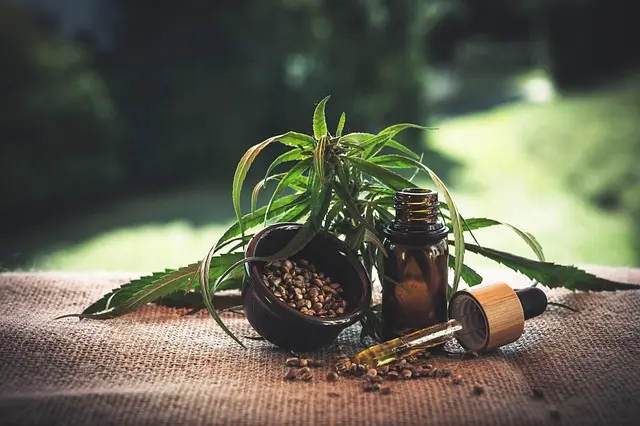 Comment reconnaître les fleurs CBD pur de qualité ?