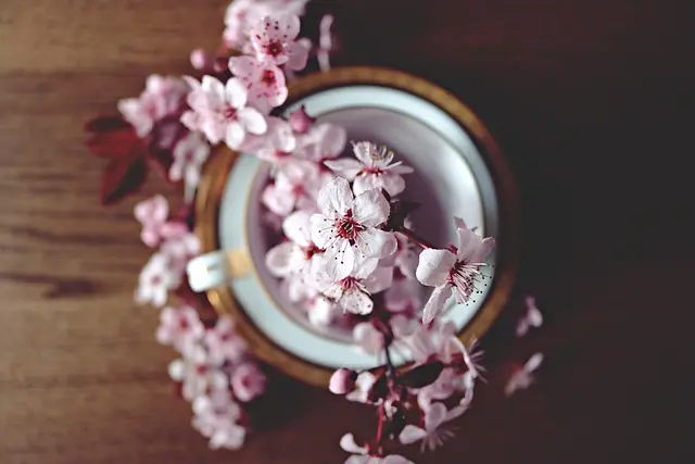 Les meilleures façons de consommer les fleurs CBD pur