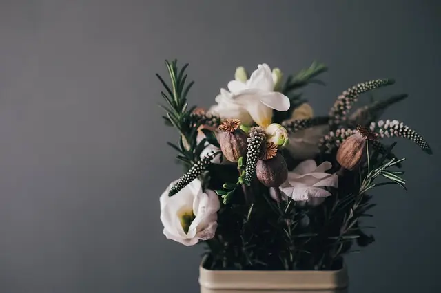 Les erreurs à éviter lors de l'utilisation de fleurs CBD pur
