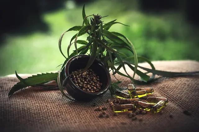 Les bienfaits des fleurs CBD pur pour l'anxiété