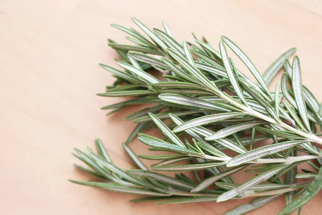 Les astuces pour reconnaître les fleurs CBD pur de qualité