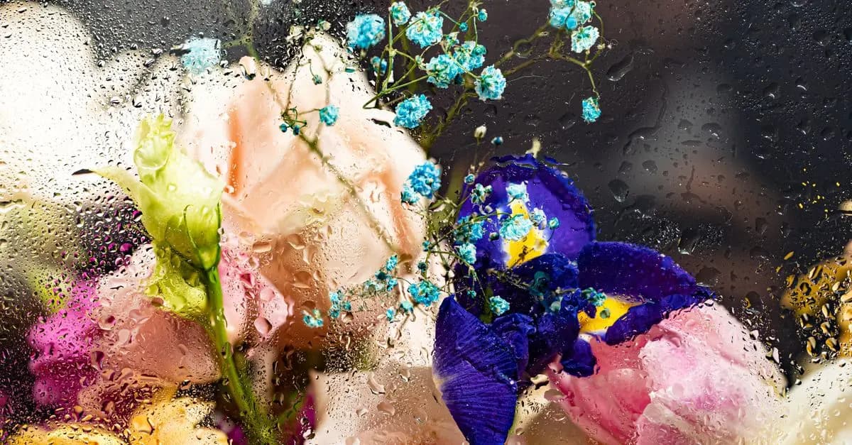 Comment les fleurs CBD pur soutiennent votre créativité