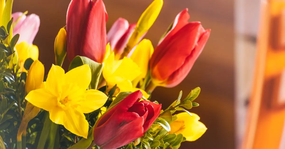 Les mythes et réalités des fleurs CBD pur