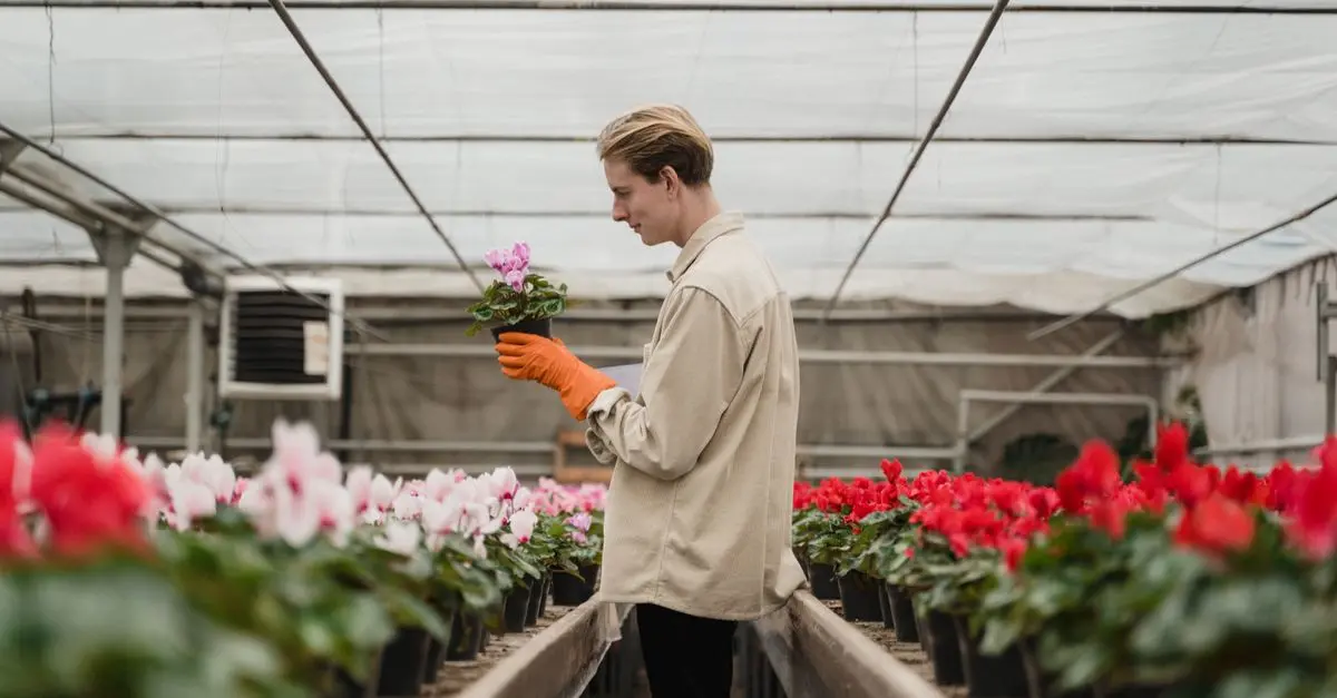 Fleurs CBD pur : innovations à surveiller en 2026