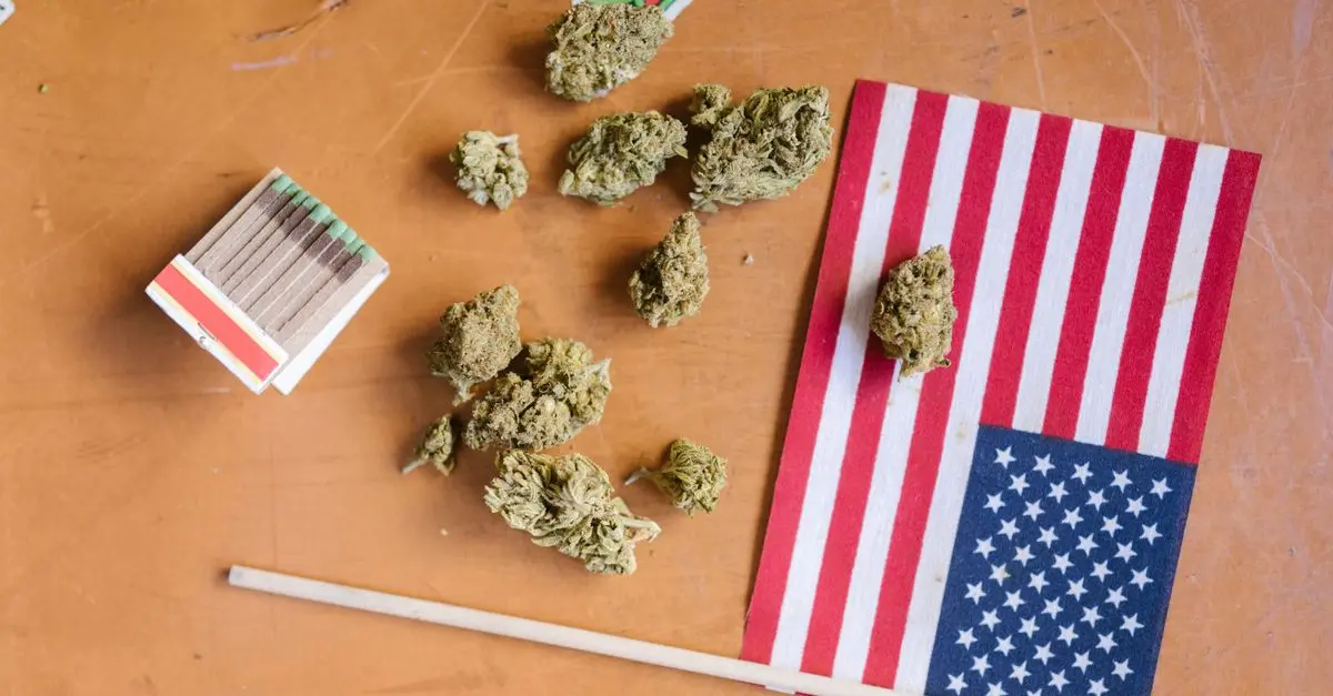 Comment intégrer les fleurs CBD pur dans votre routine santé