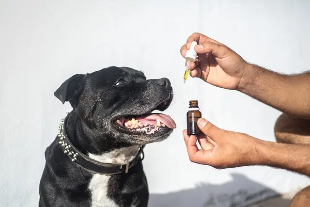 Les meilleures façons d'utiliser les fleurs CBD pur au quotidien