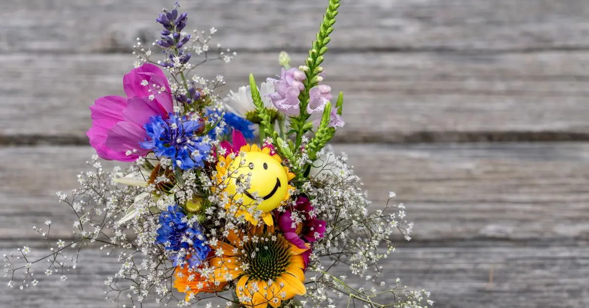 Fleurs CBD Pur : Comment choisir la variété idéale pour vos besoins