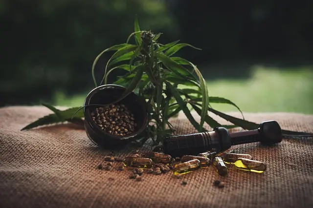 Les bienfaits inédits des fleurs CBD pur sur votre bien-être