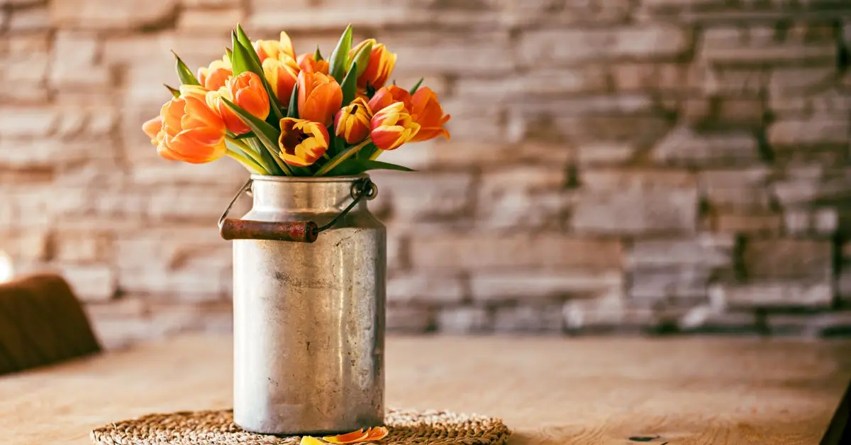 Comment choisir la meilleure fleur CBD pur pour vos besoins