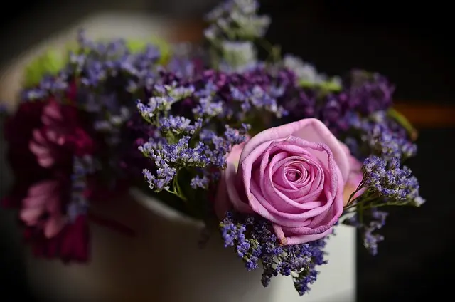 Les bienfaits des fleurs CBD pur pour votre bien-être au quotidien