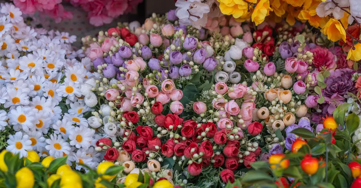 Les meilleures variétés de fleurs CBD pur à découvrir