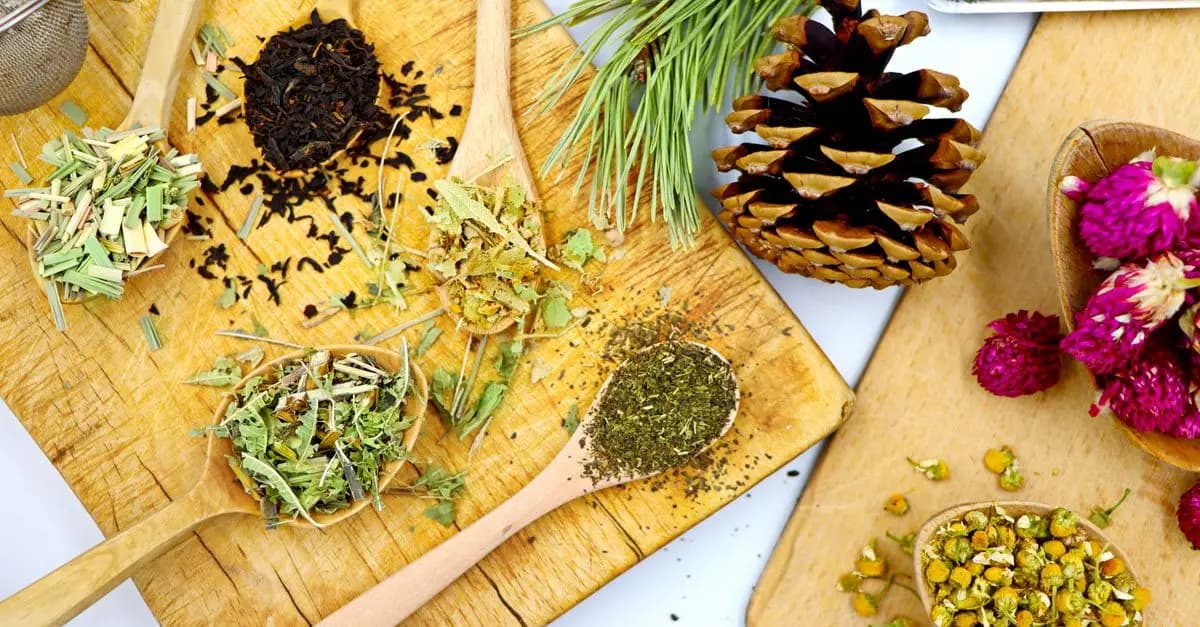 Comment préparer une infusion parfaite de fleurs CBD pur