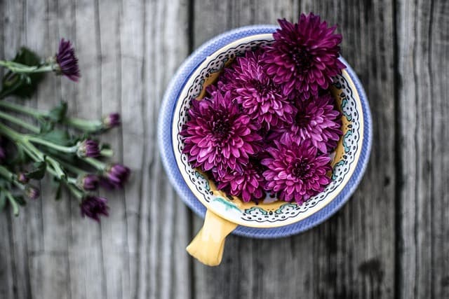Comment bien choisir vos fleurs CBD pur pour un usage optimal